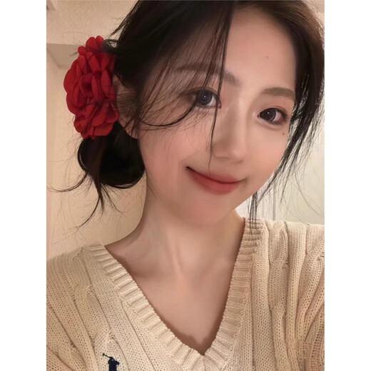 Xiao Panda Red Flower Clip Hair Accessories Dry Rose Caro Hair Clip Head Flower Hair Accessories 2025 New Fashion Shark Clip Large Red + Pink 2-piece Set 12cm