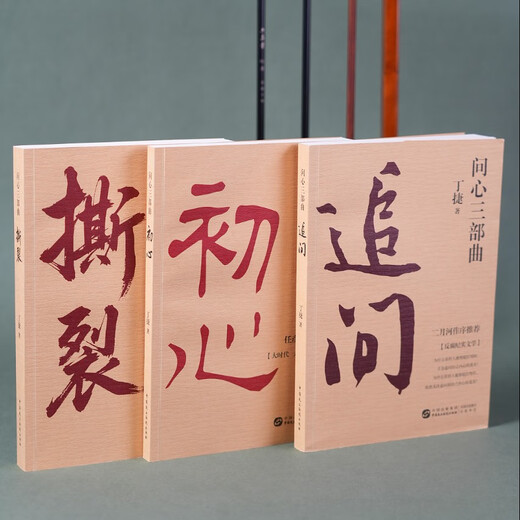 追问 初心 撕裂 丁捷问心三部曲（全3册）反腐纪实文学 真实反腐警示录 落马官员的“罪与罚”