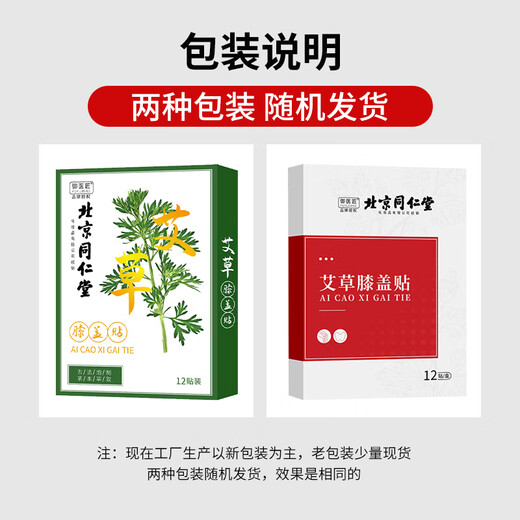 Tong Ren Tang Beifuß-Kniepflaster, gesundes Moxibustionspflaster, Kniegelenk-Beifuß-Patch, 12 Pflaster/Box