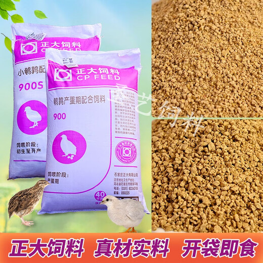 Chia Tai Food 900 rutin chicken feed quail egg laying special chick opening brooding rutin chicken chicks general food multi-dimensional brooding egg laying period