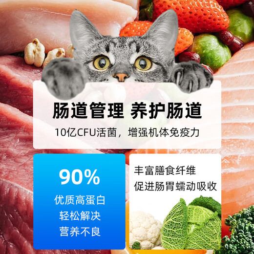Cat gastrointestinal care, digestive aid, diarrhea and vomiting care, special food for cat intestinal care, full-price formula staple food, full-price intestinal prescription food for cats*1kg