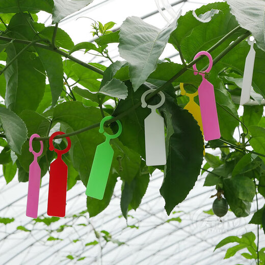 Gardening label thickened waterproof colorful plastic flower label plant flower pot flower name hook type hanging label buckle orange buckle label 100 thickened and light-resistant