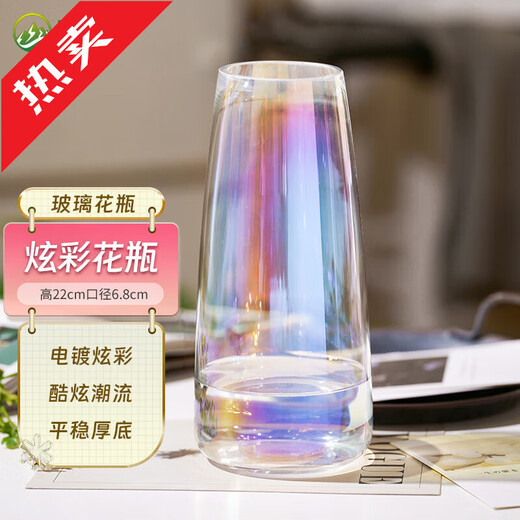 Vase Ornaments Transparent Phnom Penh Living Room Water Vase Flower Arrangement Dried Flowers Internet Celebrity Creative Glass Vase Ornaments 5111 Colorful Glass Vase Height 22cm