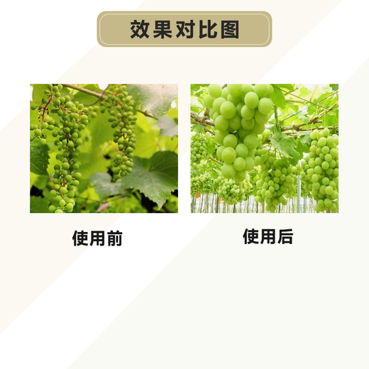 Dr. Weinian Nianle 0.001% olefin hydroxyl olefin wheat rice corn growth regulator 1000g 200g 15g 200g*5 bottles