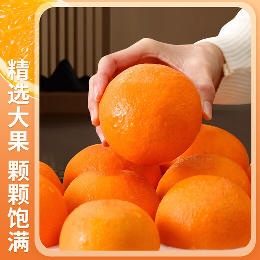 
Shengrong Fruits and Vegetables Ehime Jelly Orange No. 38 [Next-day delivery in many places] Sichuan hand-peeled oranges and citrus fresh fruit gift box [7A selected fruits] Fruit diameter 65-70mm sweet 3 Jin [Jin equals 0.5 kg] Packing [Try it first - small quantity] Net weight 2.5 Jin [Jin equals 0.5 kg]