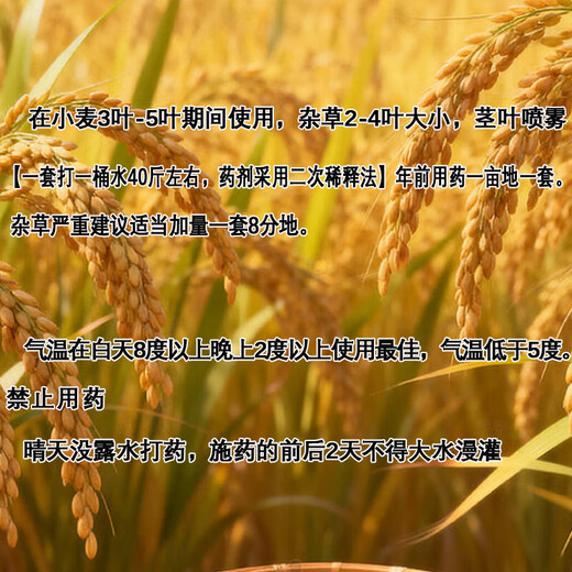 Herbicida de post-emergencia de trigo Jiejie Wheat and Wild Oats, Kanmainiang Hekuo doble matanza sin dañar las plántulas de trigo, paquete de deshierbe de trigo C paquete conjunto de 8 paquetes, elimina Jiejie trigo, bromo, avena silvestre versión mejorada 1 juego