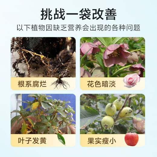 Wangtianwang soybean meal organic fertilizer, compound biological fermentation decomposition powder, agricultural vegetable and fruit tree medicinal material base fertilizer, general fertilizer