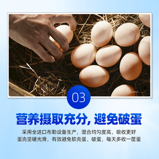 OIMG 5% layer premix for small chickens, medium chickens, large chickens, laying hens during the laying period, multi-egg feed additives, chicken feed 5% series, L516, laying hens, brooding period 25KG