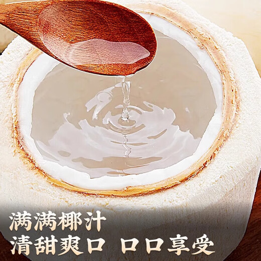Hainan Fresh Pure Natural Peeled Coconut Green Coconut Ready-to-Eat Pregnant Women Fruit Coconut Chicken Soup Coconut Meat Coconut White - Wancheng Cost-Effective Green Coconut 2 Pack (Single Fruit Starting from 800g)