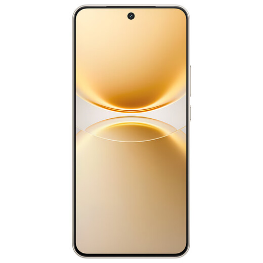 Vivo Y500 Pro National Subsidy 200 Million HP5 Flagship Main Camera 7000mAh Blue Ocean Battery IP68+IP69 Full Level Waterproof AI Imaging Phone Xiangyun Gold 8GB+128GB