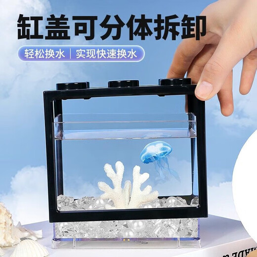 Desktop fish tank, small household building block tank, ecological tank, aquarium, betta fish tank with night light, ambient light ornament, two lights in white fish tank + about 50 small luminous stones