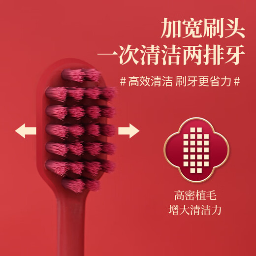 BRUSHING BEAR soft-bristled toothbrush Sam's same style wide head gum protection New Year's wedding wedding celebration dowry men and women special 2 pieces