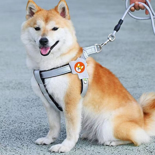 JCZS German brand new dog leash harness vest-type pet walking leash for small and medium-sized Shiba Inu dogs, upgraded model black (single harness, cordless), light and breathable sponge, rust-proof S, weight 4-12Jin Jin equals 0.5kg