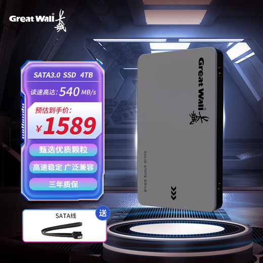 长城（Great Wall) 4TB SSD固态硬盘 SATA3.0接口 读速550MB/S台式机/笔记本通用 GW560系列 