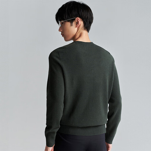 Angel Bird Wool Sweater Men's Autumn Style Men's 100% Sheep Wool Business Casual Long Sleeve Sweater Textured Wool Sweater Inside Gray Lake Green XL -50(180/100)