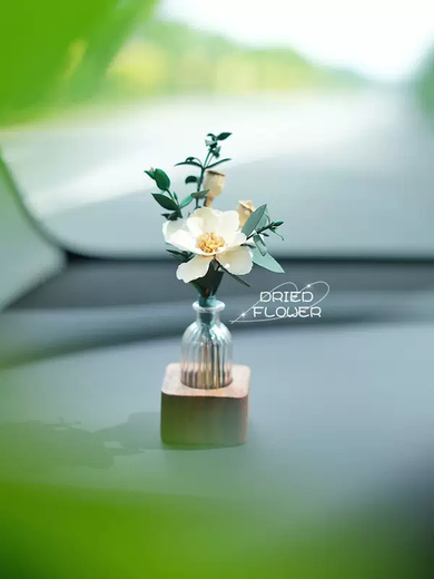 Yusenyi Car Aromatherapy Perfume Creative Dried Flower Plant Car Center Console Aromatherapy Car Interior Decoration High-end Gift White Violet Walnut Aromatherapy Decoration 1g