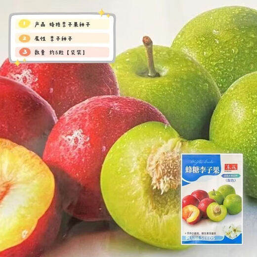 Bee Sugar Plum Fruit Seeds, Cold-resistant New Variety Mixed Color Large Plums Potted Ground Planting in the North and South, Perennial Bee Sugar Plum Fruit Seeds, 3 Packs of Approximately 15 Pieces