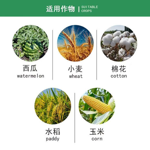 Zhengye Hainan Zhengye 5% amino oligosaccharide islandin virus disease rice blast scab blight plant inducer islandin 500 ml