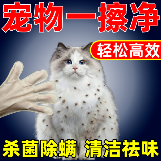 Pet cleaning gloves, special disposable cleaning gloves for cats, dogs and rabbits, deodorizing, removing mites and leaving fragrance, sterilizing and disinfecting wipes, one package, no hand washing required