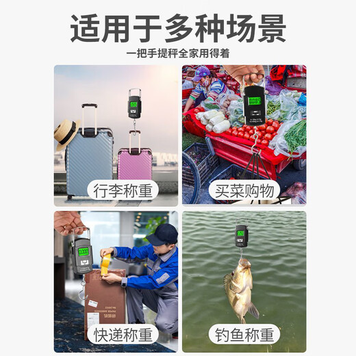 Padilin Portable High-Precision Portable Electronic Scale Mini Hook Scale Weighing Scale Electronic Scale