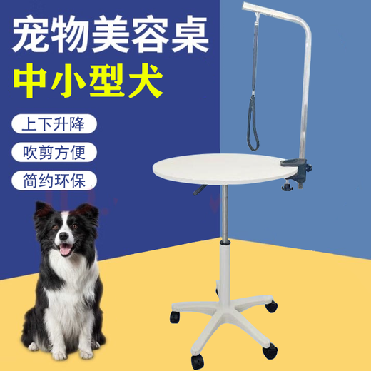 Pet Grooming Table Dog Grooming Table Small Dogs and Cats Pneumatic Rotating Hydraulic Lift Table Pet Shop Shearing Upgraded White Carbon Fiber