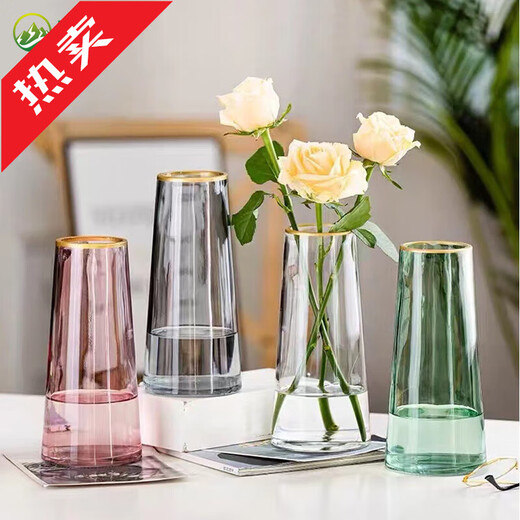 Vase Ornaments Transparent Phnom Penh Living Room Water Vase Flower Arrangement Dried Flowers Internet Celebrity Creative Glass Vase Ornaments 5111 Colorful Glass Vase Height 22cm