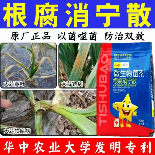 Root rot Xiaoning powder genuine worry-free soil conditioner reduces soil-borne hazards and resists repeated root rot microbial inoculants 200g*1 bag