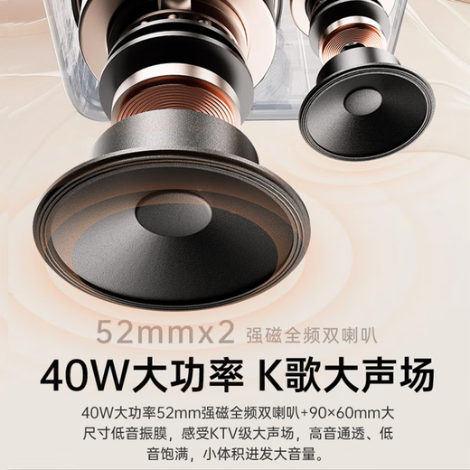 Jinyun First Release丨U Disk Version Lyrics Speaker Karaoke Microphone Speaker All-in-One Microphone Audio All-in-One Family KTV Set Singing Artifact Bluetooth Audio Gift K800