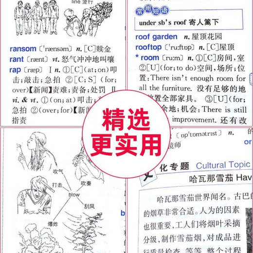 2025年新编正版高中初中小学生专用实用新英汉词典汉英互译双解多工具书大全新华现代汉语英语英文小字典便携朗文常用成语词汇 学生实用新英汉词典