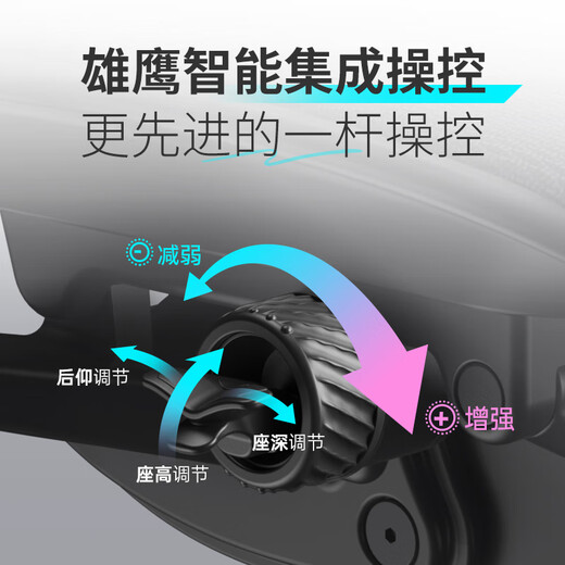 Ergonor Jin Zhuo Xiongying ergonomic chair, cost-effective computer chair, home office chair, gaming e-sports chair, Jin Zhuo Xiongying, silver white net + lying Shubao, not easy to get tired after sitting for a long time