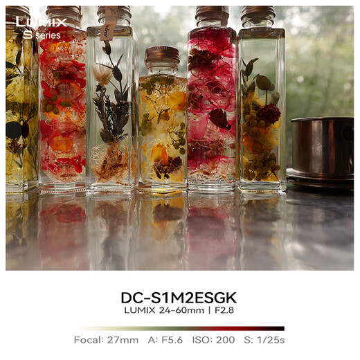 Panasonic 24-60mm full-frame mirrorless/mono/mirrorless digital camera zoom lens S-E2460GK L mount F2.8 constant aperture standard zoom 24-60mm丨constant aperture丨landscape丨portrait丨