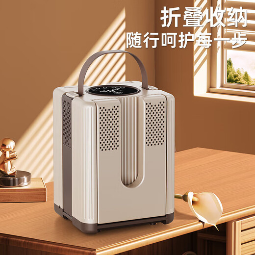 Sawang German shoe dryer, deodorizing and sterilizing household shoe drying artifact, deodorizing, sterilizing and drying machine, integrated shoe drying machine, portable household intelligent constant temperature shoe drying device, retractable six arms + purple light dual sterilization, one second speed heating + timer setting