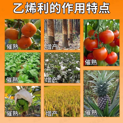 Huayi Feiling 40% Ethephon Walnut Banana Persimmon Tomato Rice Ripening Agent Pesticide Plant Growth Regulator 350g