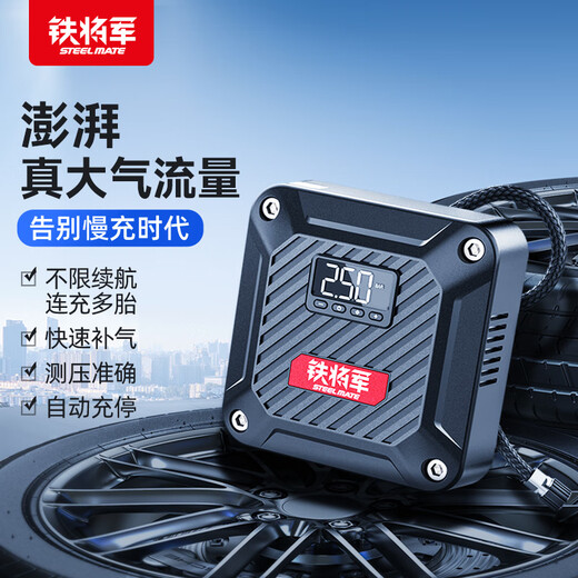 Iron General Car Air Pump Car Tire Pump Electric Bicycle Air Pump Pump P05pro