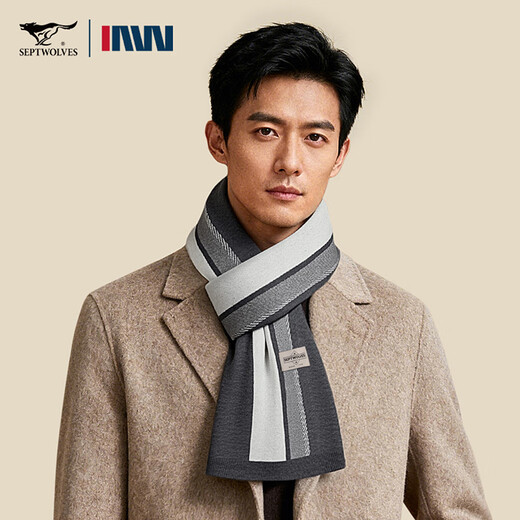 SEPTWOLVES scarf men's winter warm cashmere scarf 2025 new high-end gift box birthday gift for boyfriend and father Hemp gray 165*24CM exquisite gift box + ghostwritten greeting card