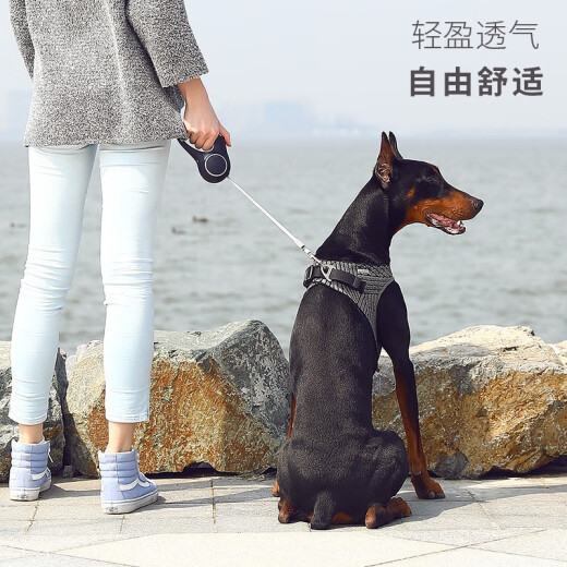 Xiaopei third generation lightweight fly woven mosquito repellent harness pet traction harness dog leash dog leash outing supplies gray S- (bust 45~52cm)
