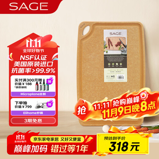 世廚（SAGE）美国进口切菜板抗菌砧板案板耐高温带凹槽和防滑垫30*45*1cm