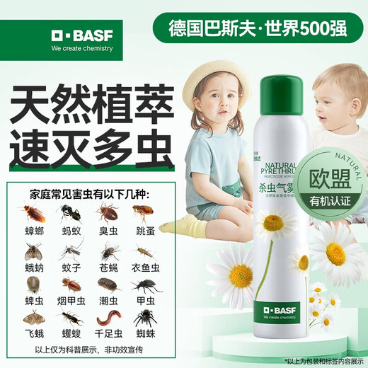BASF pyrethrum insecticide spray cockroach medicine ant flea bedbug fly silverfish small flying insect sewer 165ml