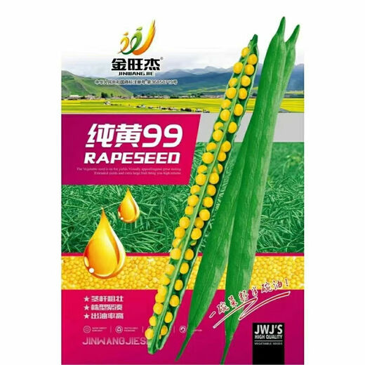 Gránulos de semillas amarillas de colza 999 de color amarillo puro para extracción de aceite, madurez temprana, alta tasa de aceite, tallos cortos, resistencia al frío, resistencia a enfermedades y resistencia al alojamiento. Semillas de colza amarillas puras 999, 1 paquete de unos 150 gramos