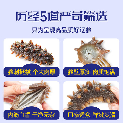Fukouju Dalian ready-to-eat sea cucumber 2Jin Jin is equal to 0.5 kg, 36-40 pieces, nourishing and cost-effective OCC Liao cucumber, independently locked fresh sea cucumber