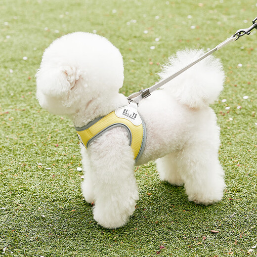 Cat 80,000 dog leash vest style breathable small dog walking leash Teddy Bichon harness dog chain Y18 M
