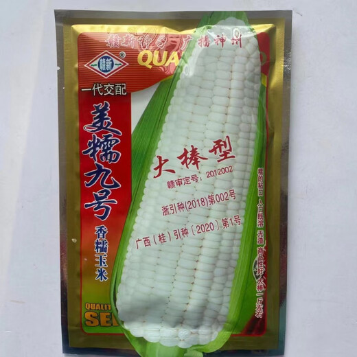 Wangyuanxing white waxy corn seed Meinuo No. 9 big stick fragrant waxy corn high yield early maturing farm field sowing in spring and autumn X Meinuo No. 9 200g 10 bags