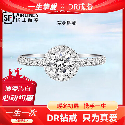 DR Moissanite Diamond Ring One Carat Princess Bag Wedding Ring Proposal Confession Birthday Valentine's Day Gift for Girlfriend Princess Round Bag 1 Carat Live/Closed