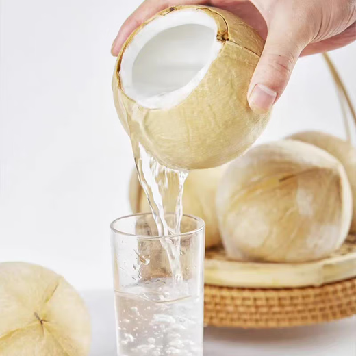 Imported Milky Coconut Royal Coconut Seasonal Fresh Fruit Green Coconut Milky Fragrance Rich and Sweet Taste King of Cost-Effectiveness Coconut King 9 pieces come with soft knife Large fruit single fruit 400-500g