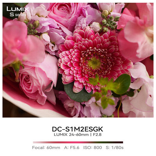 Panasonic 24-60mm full-frame mirrorless/mono/mirrorless digital camera zoom lens S-E2460GK L mount F2.8 constant aperture standard zoom 24-60mm丨constant aperture丨landscape丨portrait丨