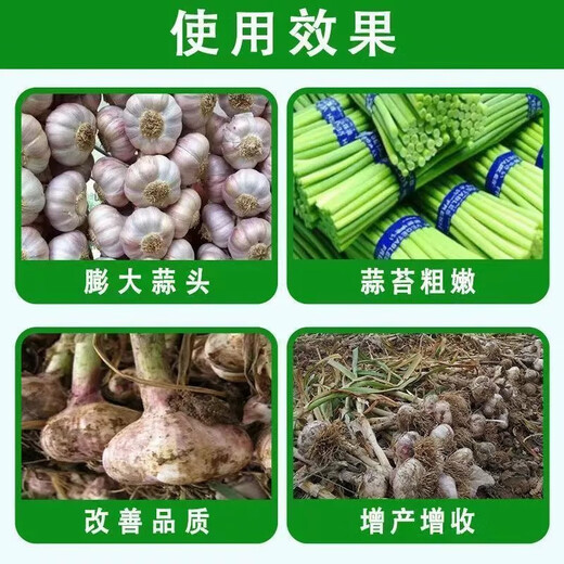Garlic Bacteria Cleaner Original Liquid for Garlic Planting, Special for Onion, Ginger, and Garlic Ganjianling, which removes yellow leaf root rot and foliar fertilizer. One bottle of garlic bacteria cleaner.