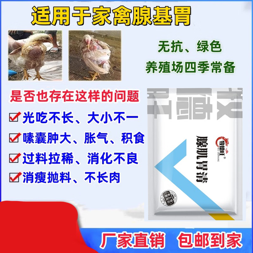 Medicamento para limpiar el estómago glandular de pollos, patos, gansos y palomas que están demasiado delgados y secos para comer y no pueden producir carne. Indigestión y sobrealimentación de aditivos alimentarios para aves. Cinco bolsas. La crianza de pollos debe nutrir el estómago. Compra 3 y llévate 2 gratis.