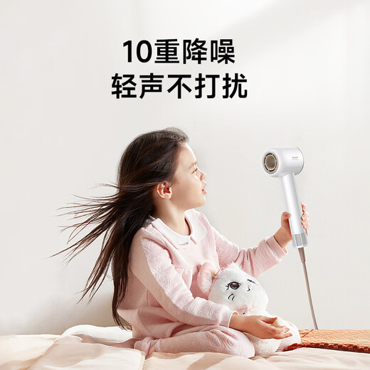 Chasing Time G20 Home Hair Dryer Constant Temperature Quick Drying Hair Dryer Negative Ion High Speed Hair Care Leafless Hair Dryer Gift Gift Lilac Purple AHD12B