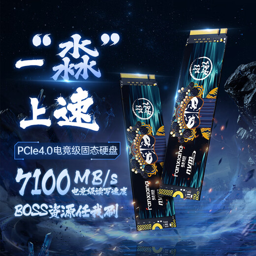 梵想（FANXIANG）4TB SSD固态硬盘 M.2接口NVMe协议PCIe4.0x4 PS5台式机笔记本电脑扩展硬盘 PC存储配件 S790E