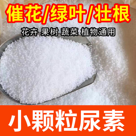 Urea Fertilizer Quick-acting Nitrogen Fertilizer Agricultural Compound Fertilizer Vegetables and Flowers Flower Fertilizer Green Planting Vegetables and Fruit Trees Chemical Fertilizer 100 Jin Jin equals 0.5 kg 100 Jin Jin equals 0.5 kg Small particle urea High purity
